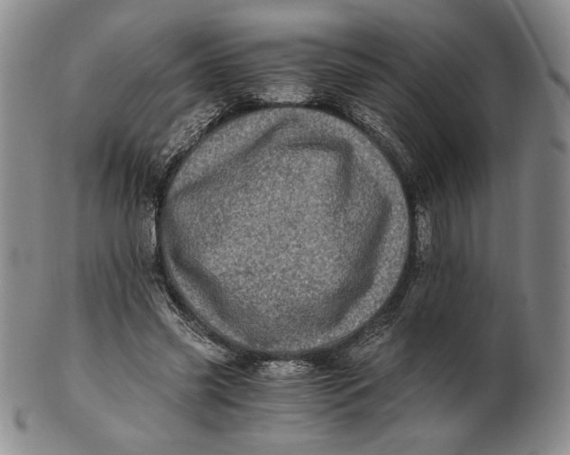 X0000100760541200807101730