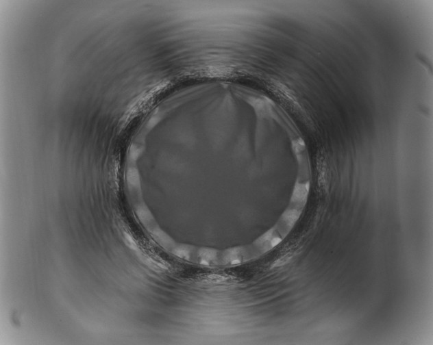 X0000100760542200807101730