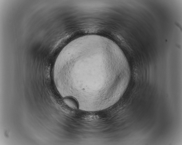 X0000100760543200807101730