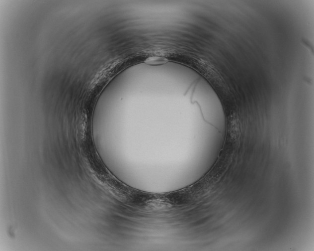 X0000100760544200807101730