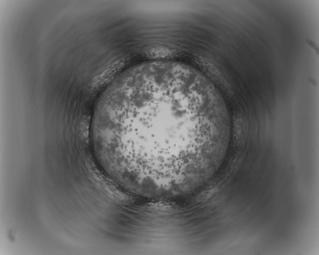 X0000100760545200807101730