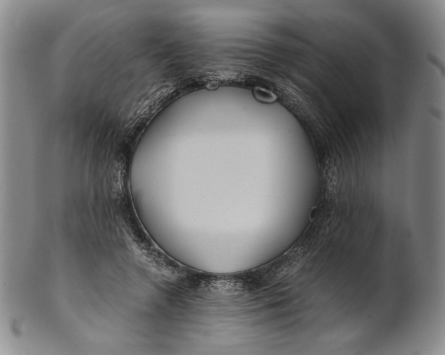 X0000100760546200807101730