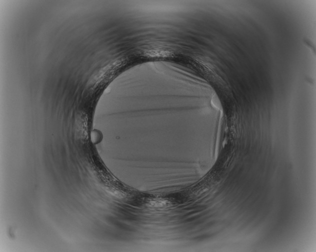 X0000100760547200807101730