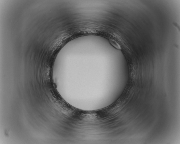 X0000100760548200807101730