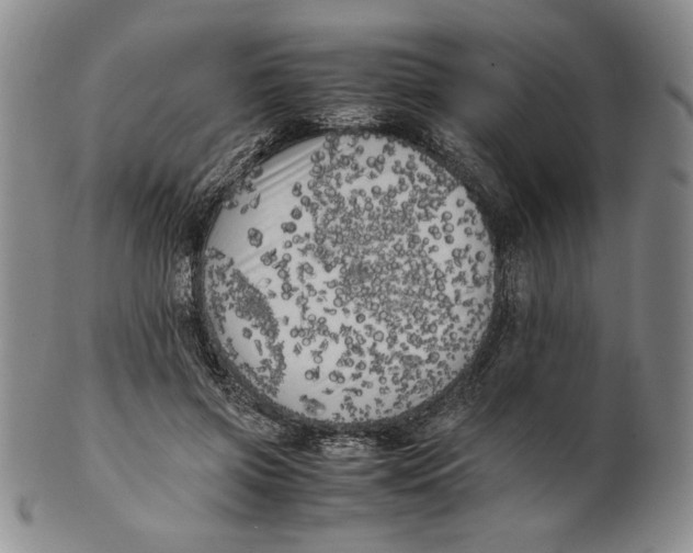 X0000100760549200807101730