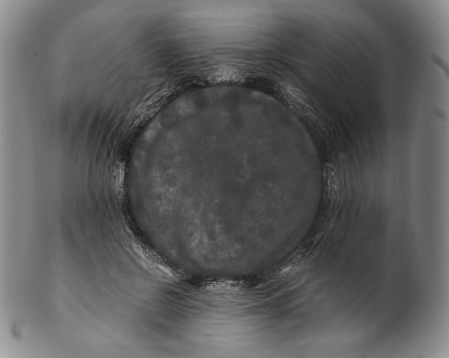 X0000100760550200807101730