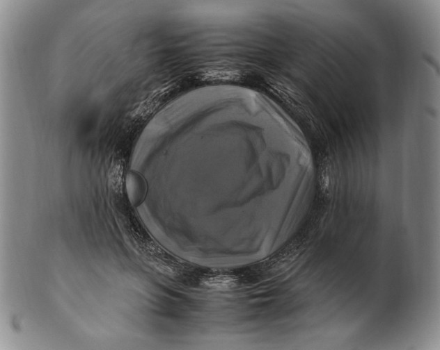 X0000100760551200807101730