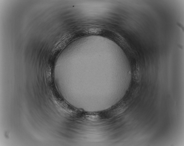 X0000100760552200807101730
