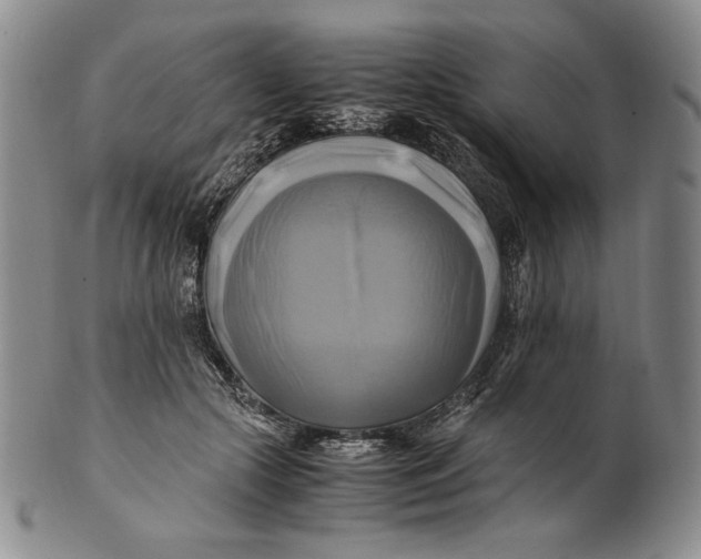 X0000100760553200807101730