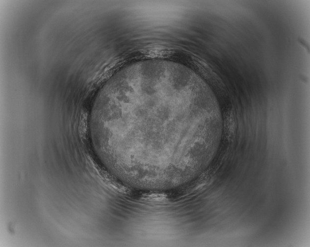 X0000100760554200807101730