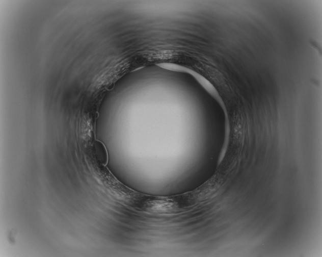 X0000100760555200807101730