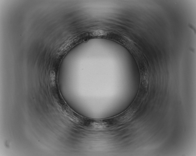 X0000100760556200807101730