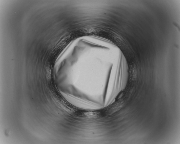 X0000100760558200807101730