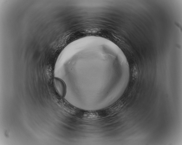 X0000100760559200807101730
