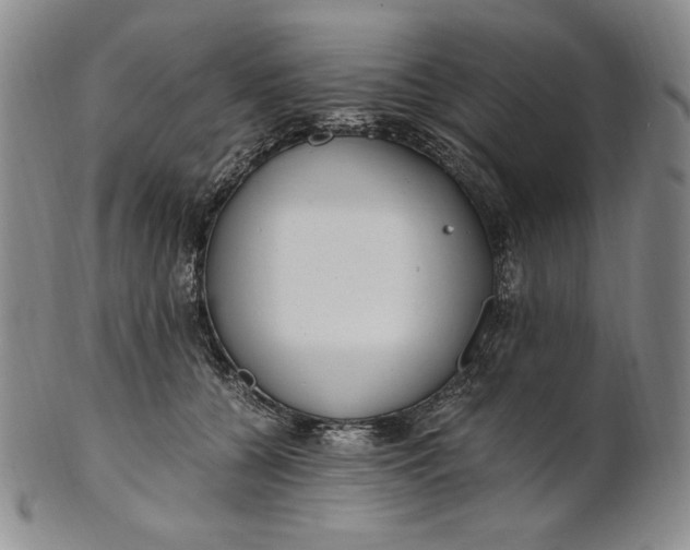 X0000100760560200807101730
