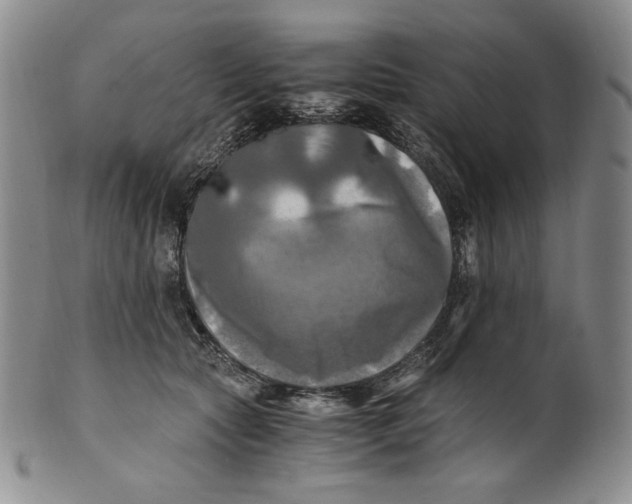 X0000100760561200807101730