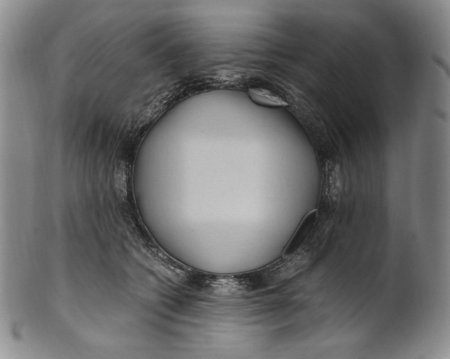 X0000100760562200807101730