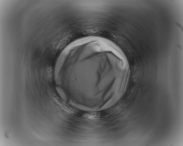 X0000100760563200807101730