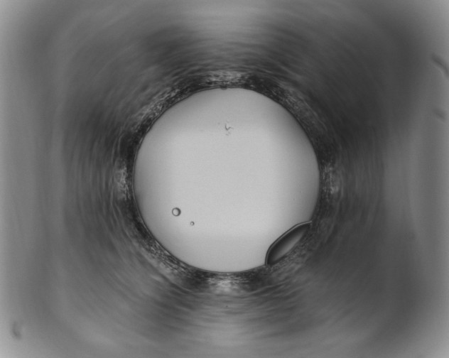 X0000100760564200807101730