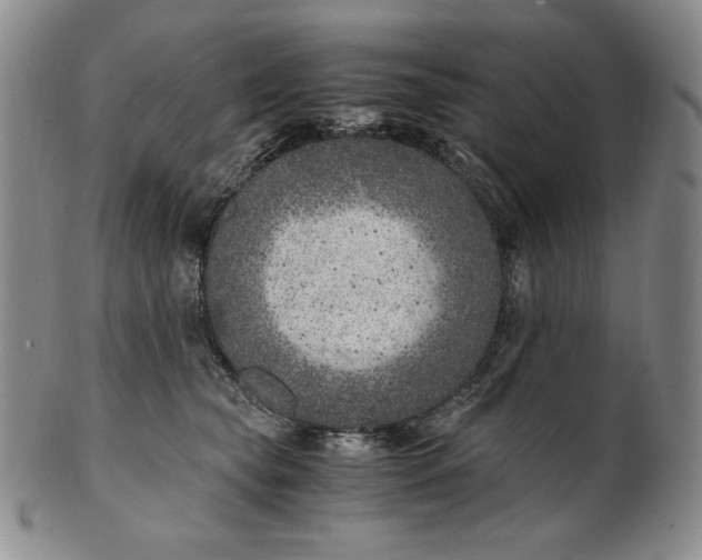 X0000100760565200807101730