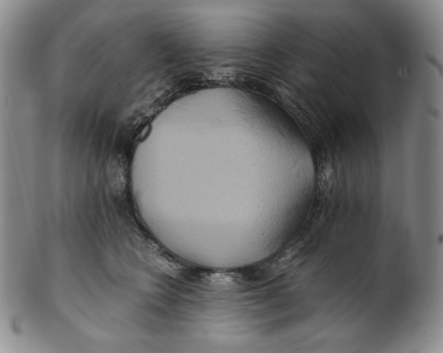 X0000100760566200807101730