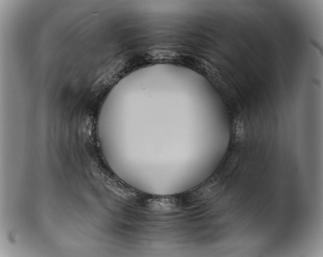 X0000100760567200807101730