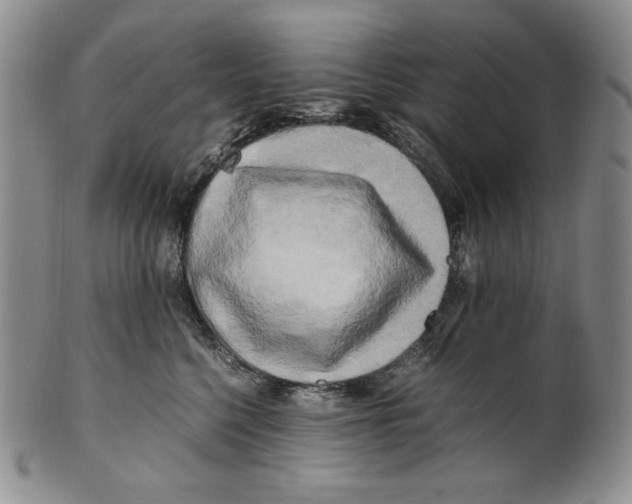 X0000100760568200807101730