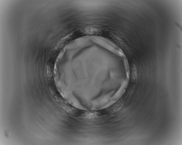 X0000100760569200807101730