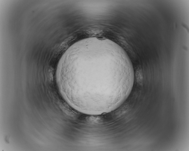 X0000100760570200807101730