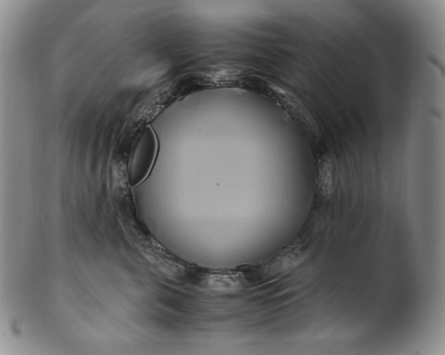 X0000100760571200807101730