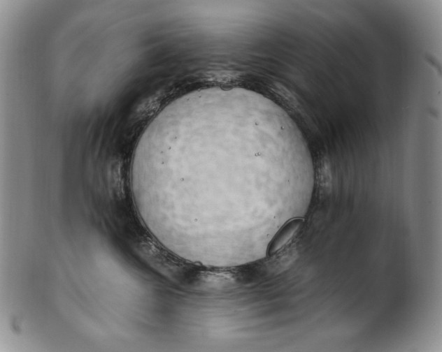 X0000100760572200807101731