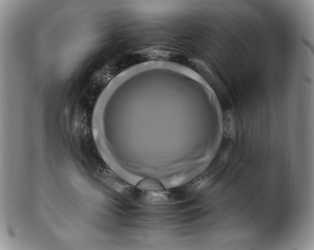 X0000100760573200807101731