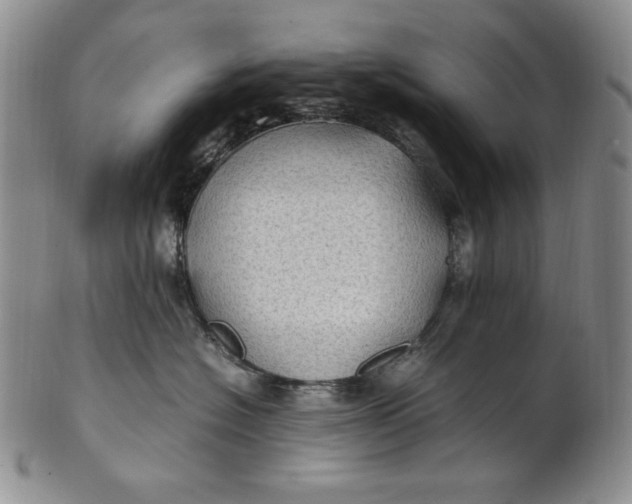 X0000100760574200807101731
