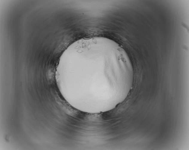 X0000100760576200807101731
