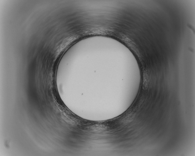 X0000100760578200807101730