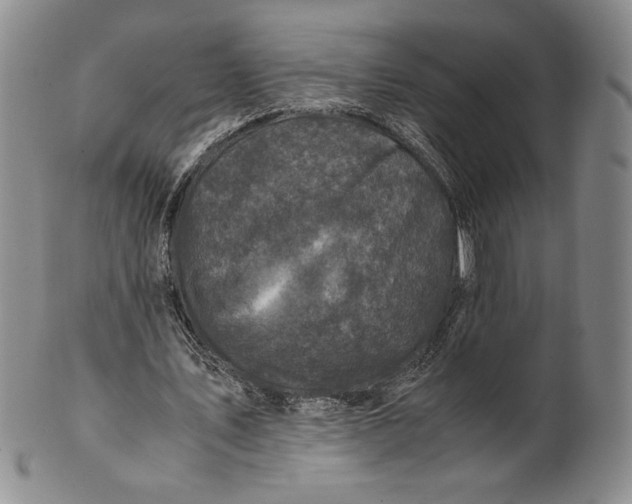 X0000100760579200807101730