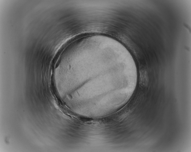 X0000100760580200807101730