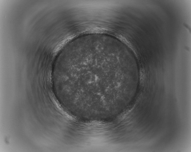 X0000100760581200807101730