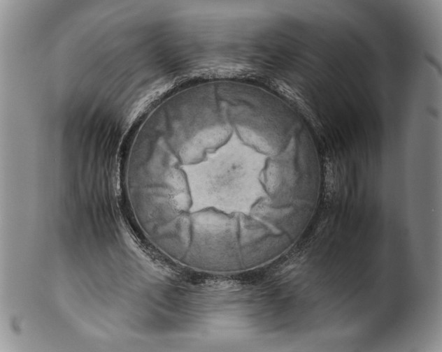 X0000100760582200807101730