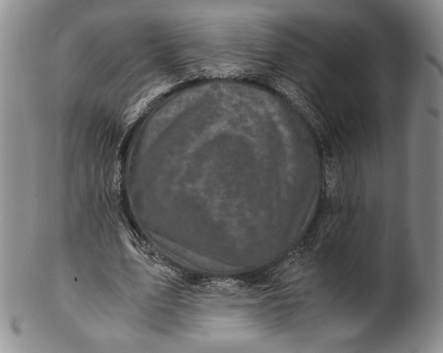 X0000100760583200807101730