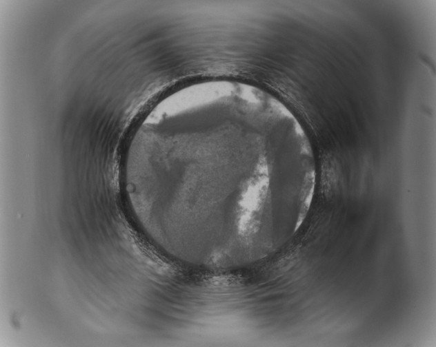 X0000100760584200807101730