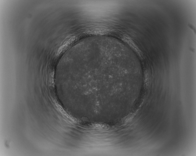 X0000100760585200807101730