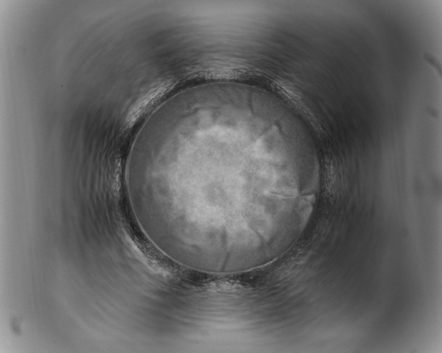 X0000100760586200807101730