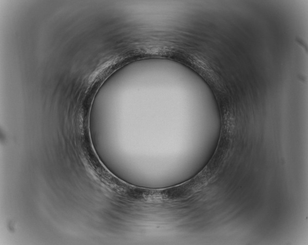 X0000100760587200807101730