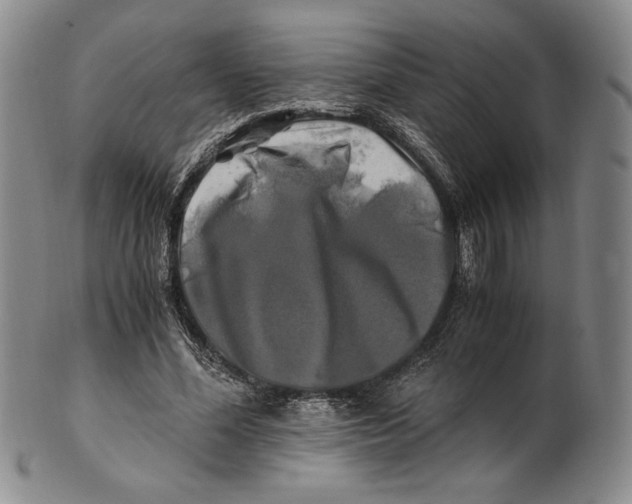 X0000100760588200807101730