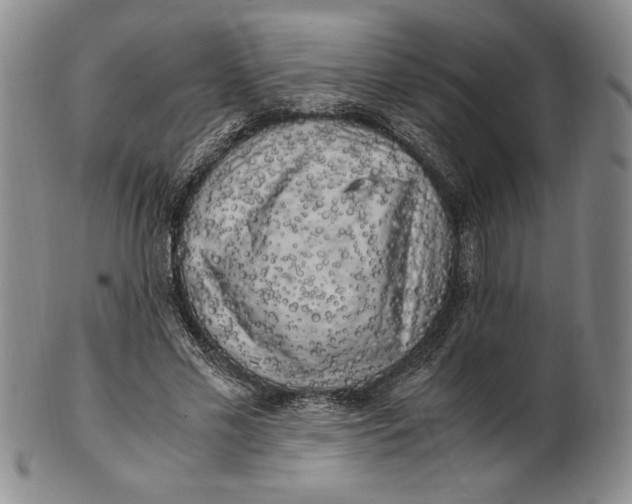 X0000100760589200807101730