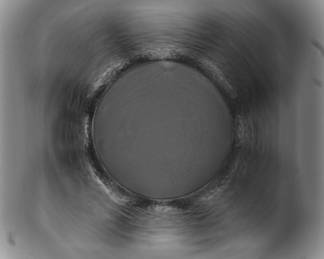 X0000100760590200807101730