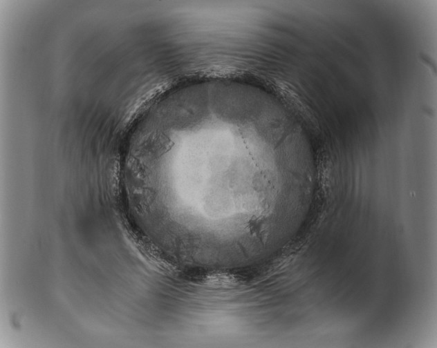 X0000100760591200807101730