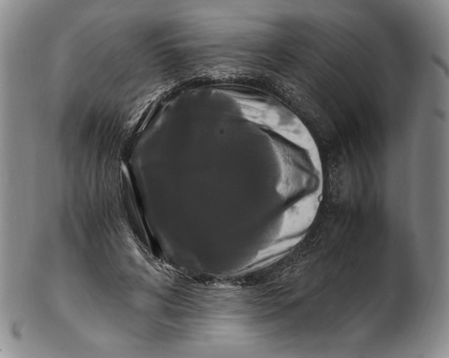 X0000100760592200807101730