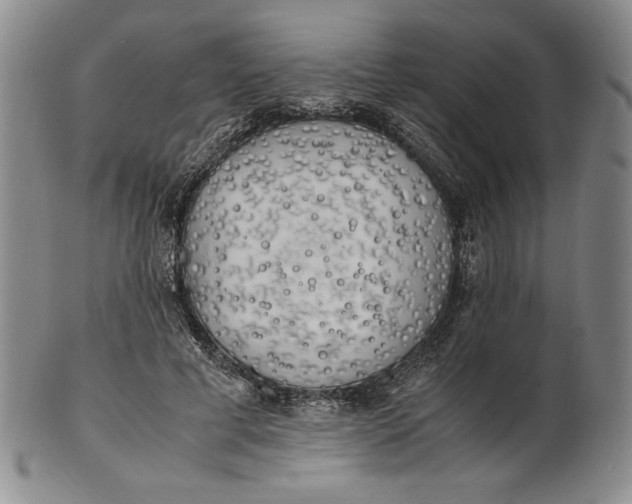 X0000100760593200807101729